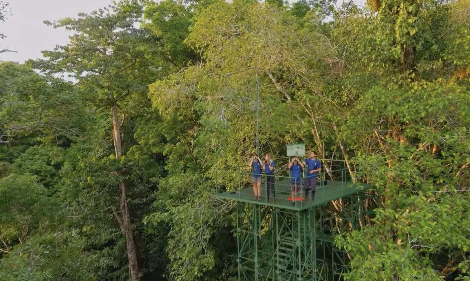 Climb High Into the Rainforest Canopy with Osa Conservation